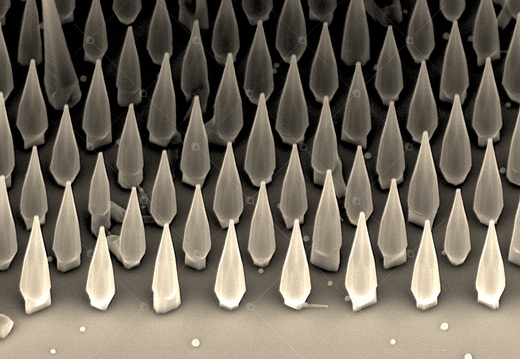 Nanofili appuntiti