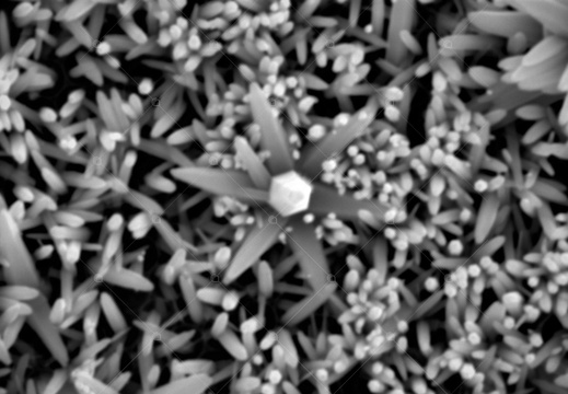 Nanofiore di cristallo