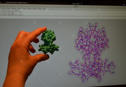 Proteine in 3D